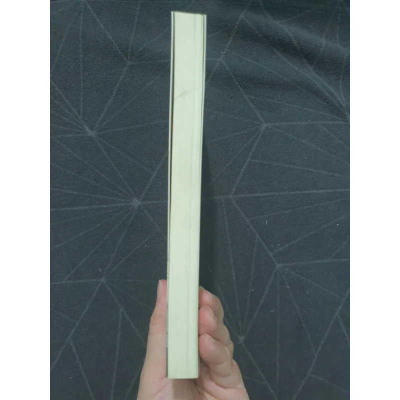 "Ngày một người không còn là tất cả" - Nam Thanh 559370