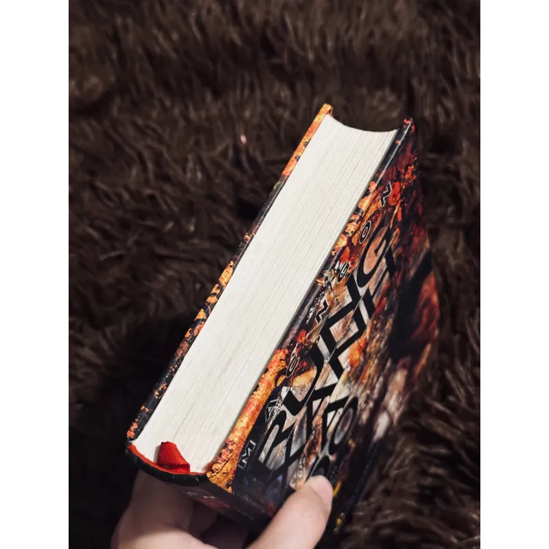 Rừng xanh lá đỏ 996357