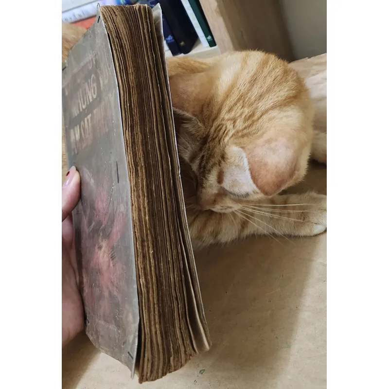 V. P  Borovicka NHỮNG VỤ ÁM SÁT THẾ KỶ 702961