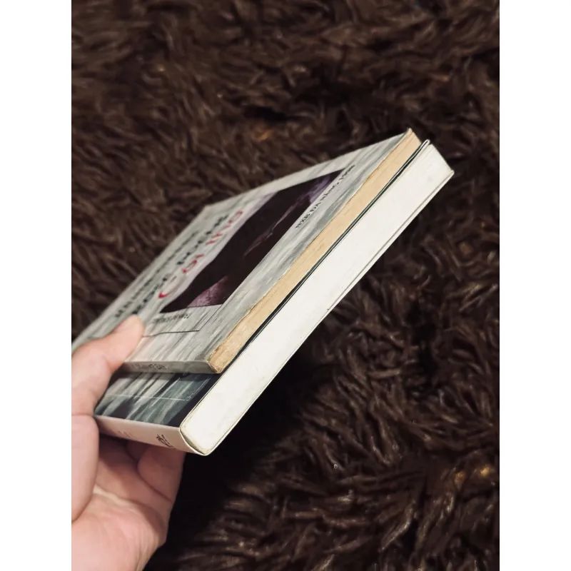 Combo 2 tác phẩm Kahlil Gibran 929384