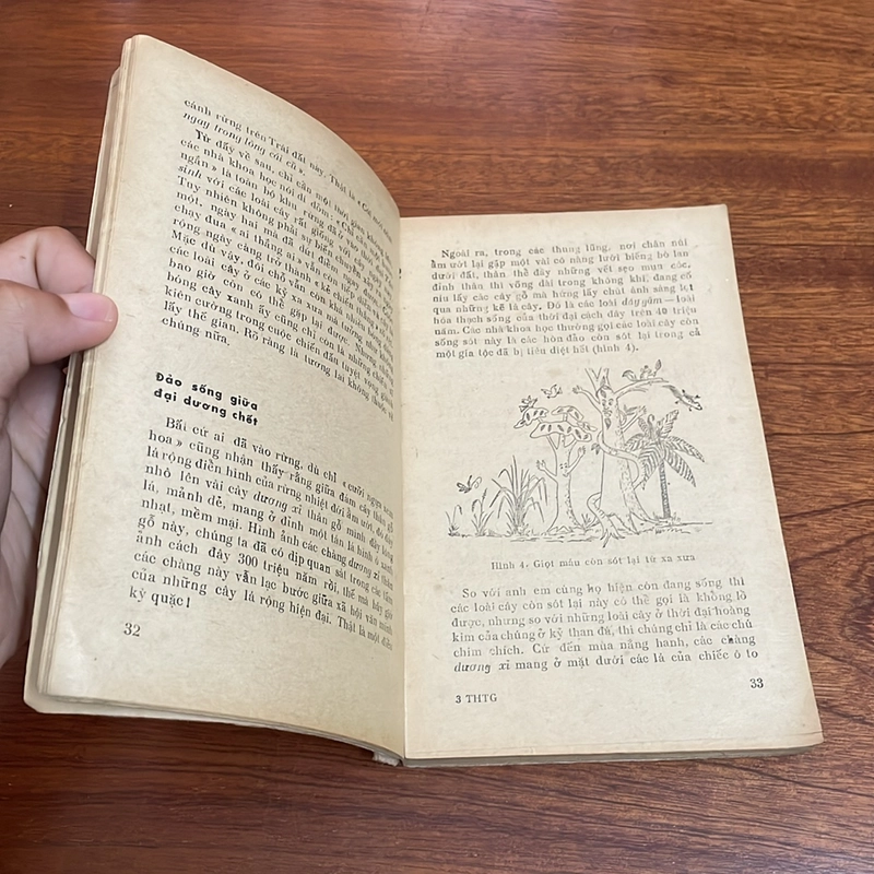 II Sách Xưa: Tìm Hiểu Thế Giới Màu Xanh - Trần Hợp, Vũ Văn Chuyên - 1977 503843