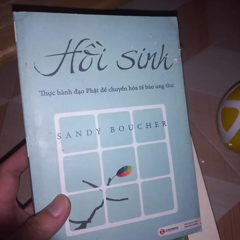 Hồi Sinh - thực hành đạo Phật chuyển hóa ung thư 565606