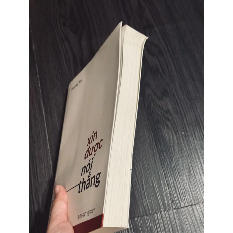 Xin được nói thẳng - Hoàng Tuỵ 598837