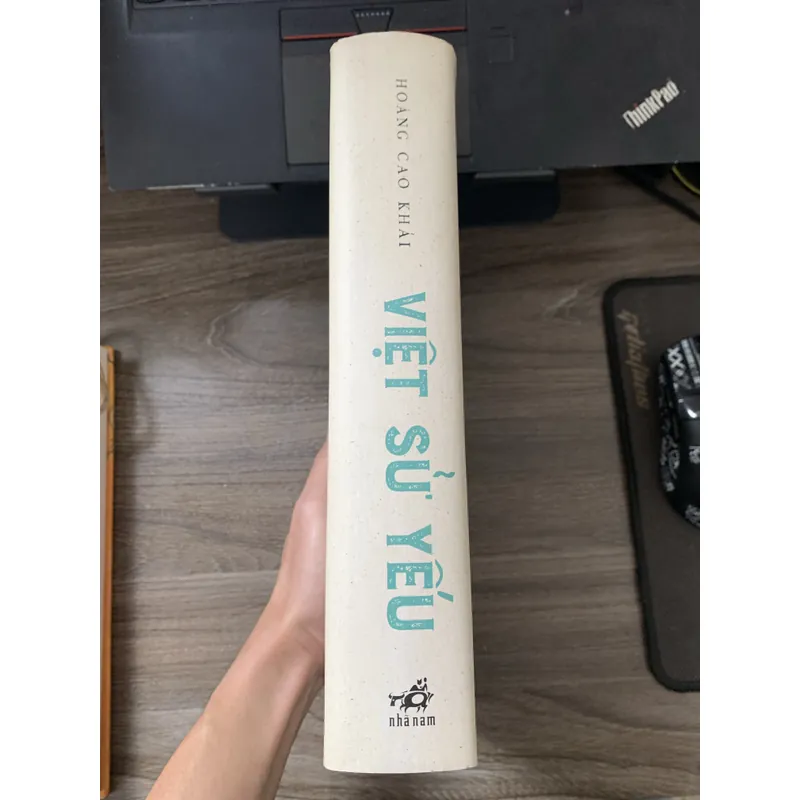 Việt sử yếu (bìa cứng) 737991