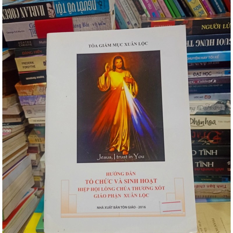 Hướng Dẫn Tổ Chức Và Sinh Hoạt Hiệp Hội Lòng Chúa Thương Xót 🌻 521939