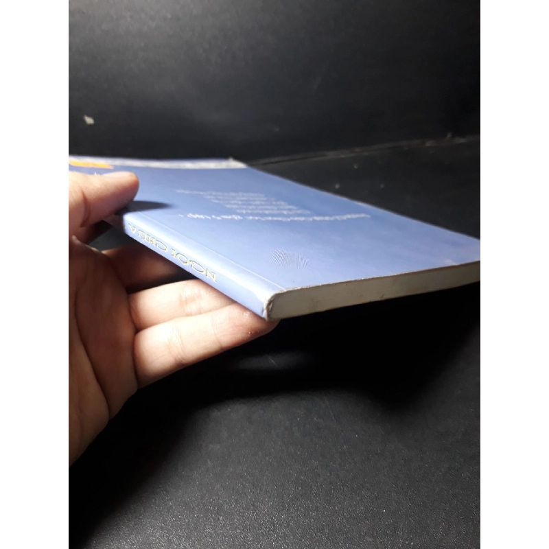 Ngôi chùa trên nứi mới 80% ố 2010 HCM1001 Yến Ngọc - Thanh Long VĂN HỌC 918587