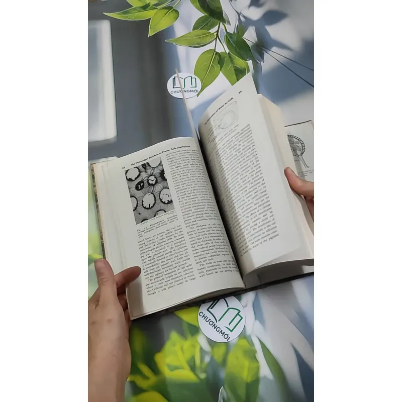 [MIỄN PHÍ BỌC SÁCH] The Plant World - Harry J. Fuller 750801