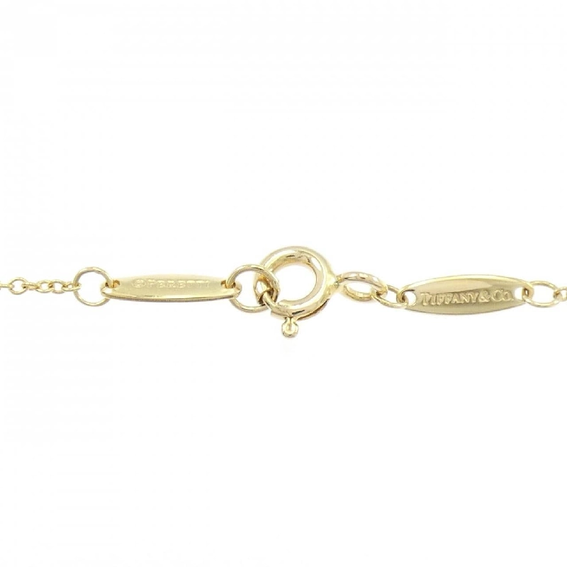 Dây chuyền Tiffany By The Yard - Hàng hiệu Authentic 843973