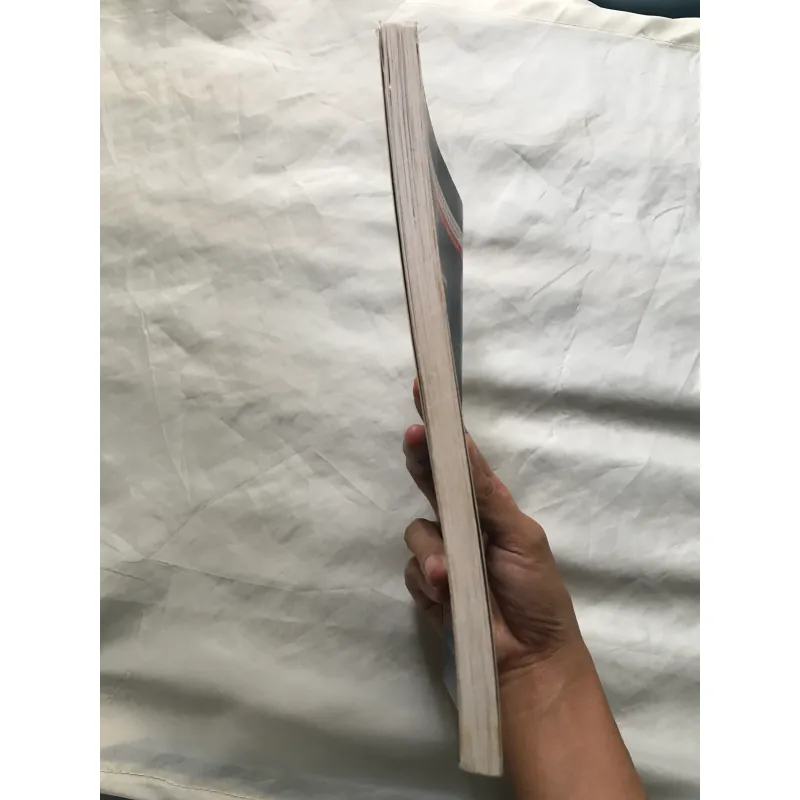 Sách Giáo trình Đại Cương Quản Trị Khu Nghỉ Dưỡng Basic Resort Management 2015 1024438