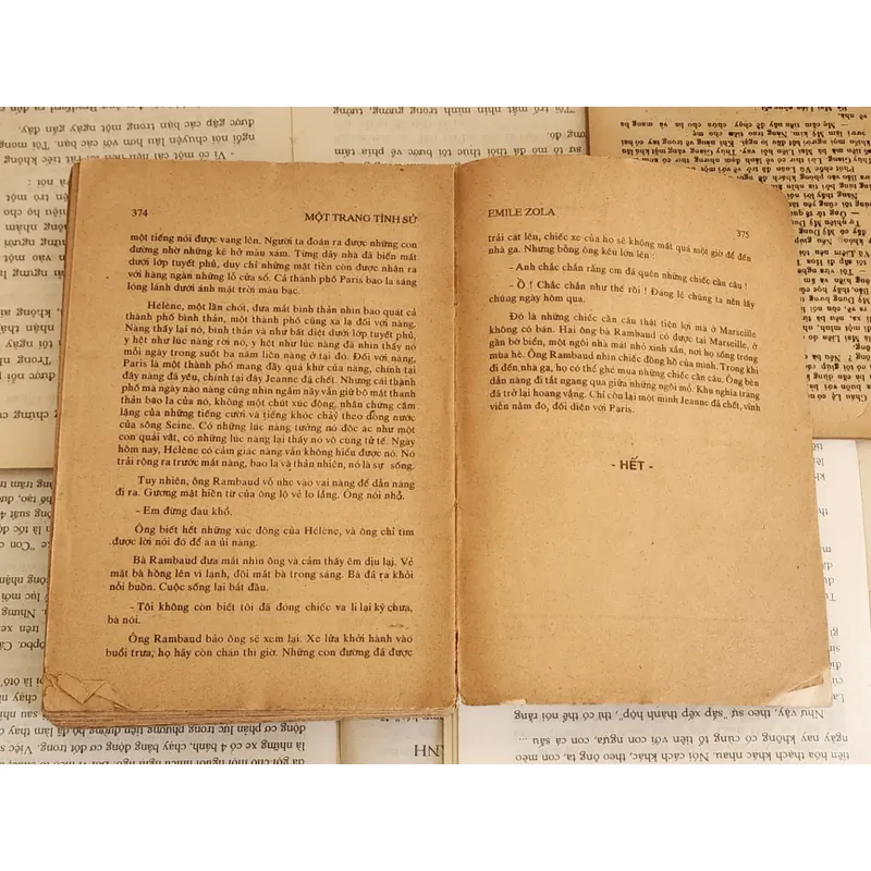 Tác phẩm văn học cổ điển Pháp của nhà văn Émile Zola 719388