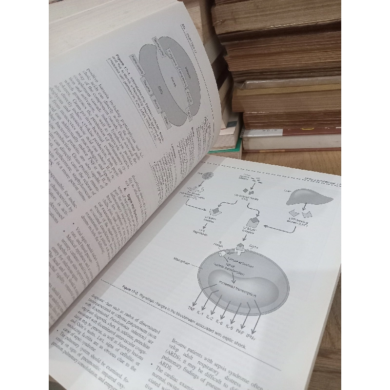 CURRENT Diagnosis & Treatment in Infectious Diseases - Walter R. Wilson, Merle A. Sande 756899