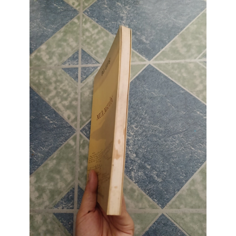 Mưa nguồn - Bùi Giáng 509997