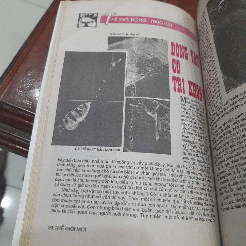 THẾ GIỚI MỚI số 77 năm 1993 447228