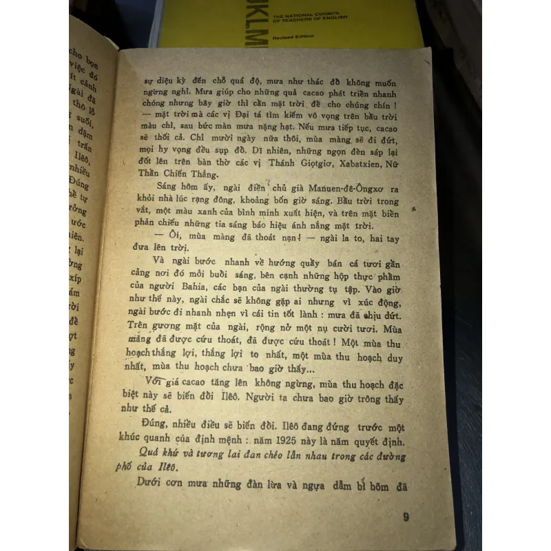 Gabriela Nhành quế và hoa đinh hương - Jorge Amado 928385