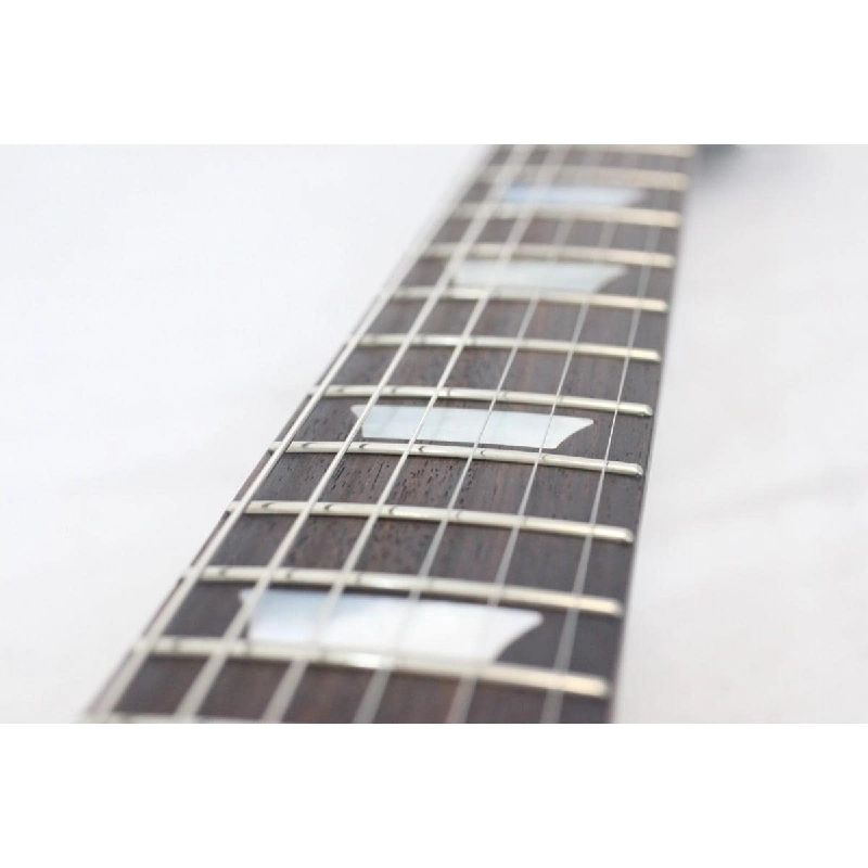 ＧＩＢＳＯＮ ＬＥＳ ＰＡＵＬ ＴＲＩＢＵＴＥ ２０１７ ＨＰ - Hàng hiệu Authentic 876748