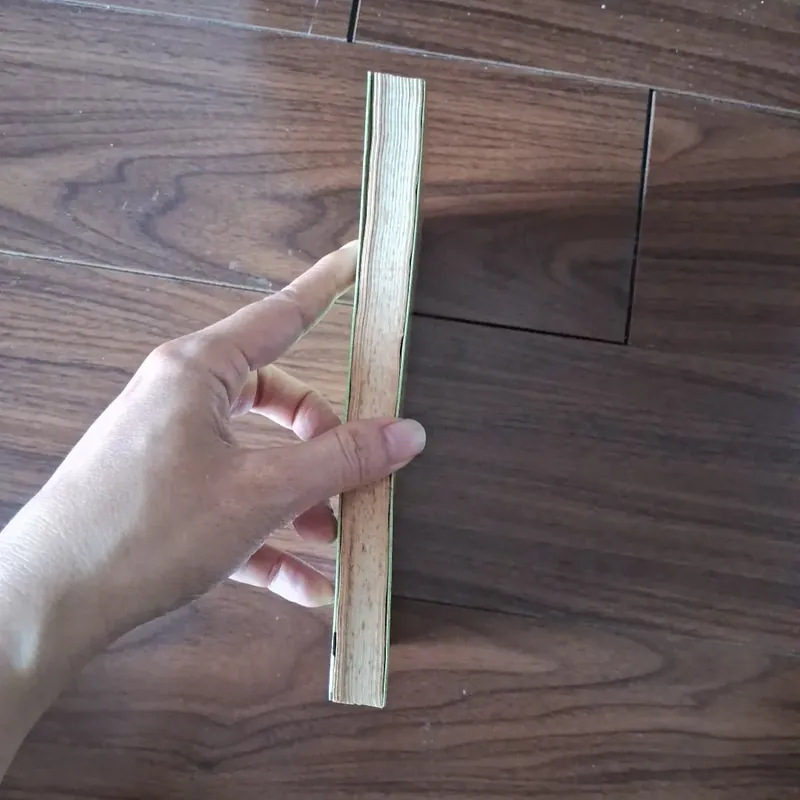 Có hai con mèo ngồi bên cửa sổ 597637