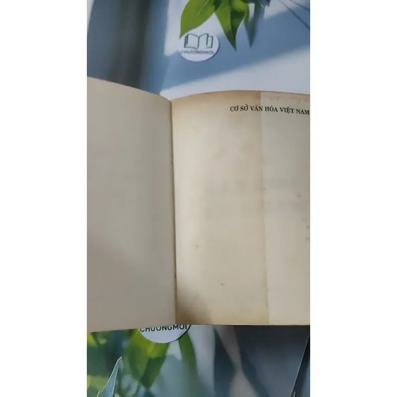 [XƯA] Cơ Sở Văn Hóa Việt Nam (1999) - Lê Văn Chưởng 928609