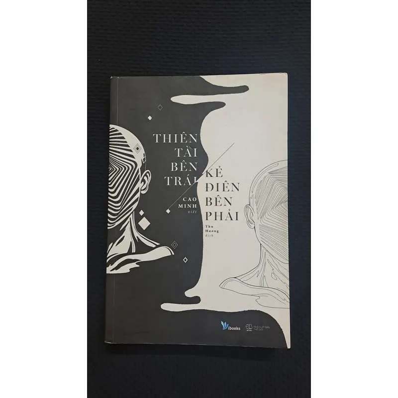 Thiên tài bên trái, kẻ điên bên phải - Cao Minh 722285