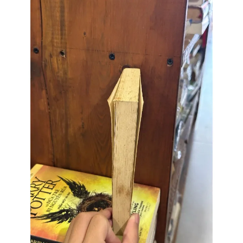 Le Prince et le Pauvre - Mark Twain 609313