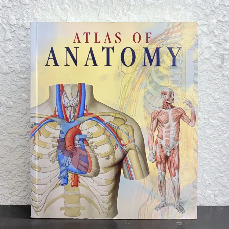 Atlas of Anatomy - Giải phẫu học 971633
