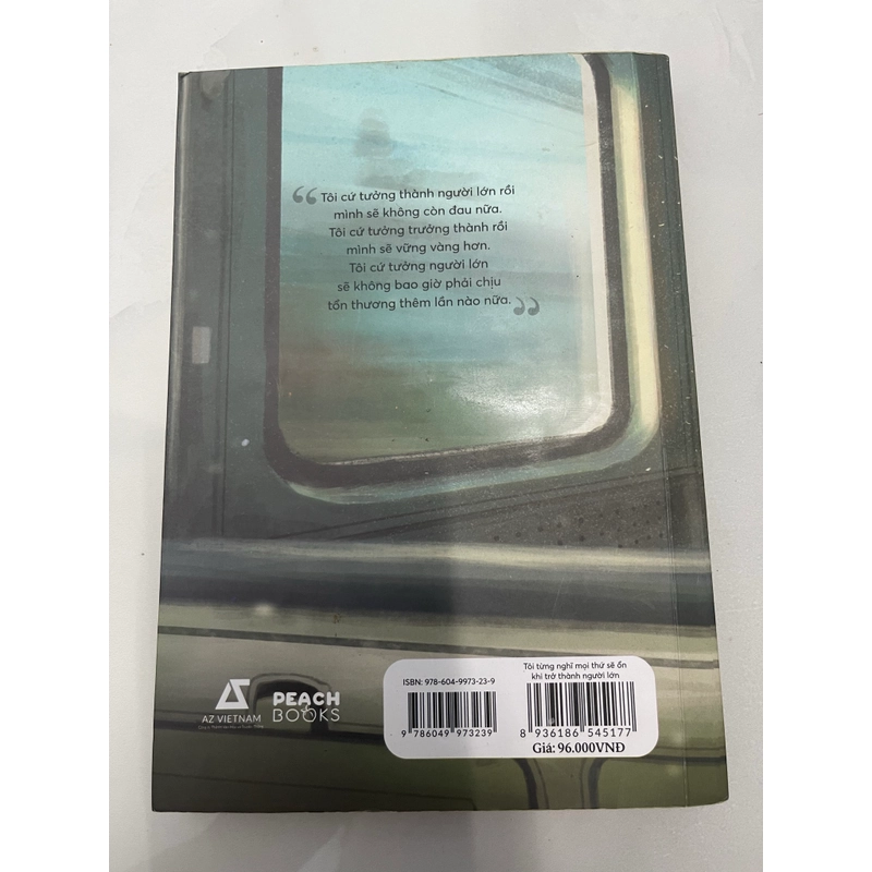 Tôi từng nghĩ mọi thứ sẽ ổn khi trở thành người lớn 548117