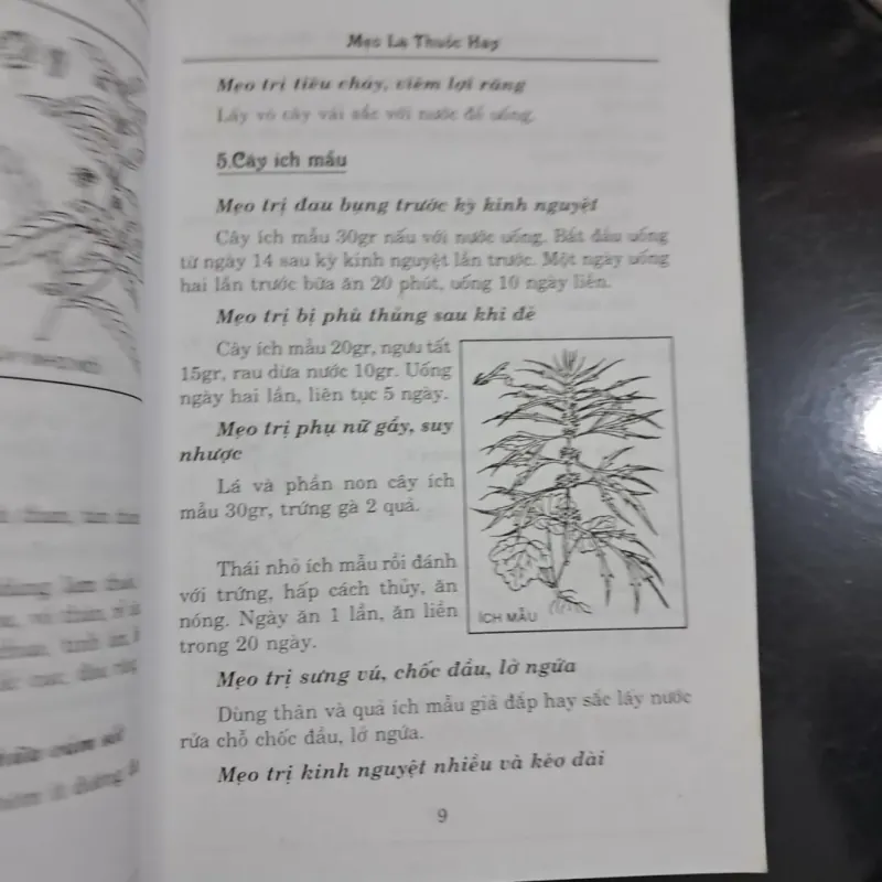 Mẹo lạ thuốc hay - chữa bệnh bằng cây thuốc nam 995302