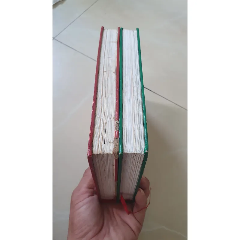 CO TÍCH VIỆT NAM  540544