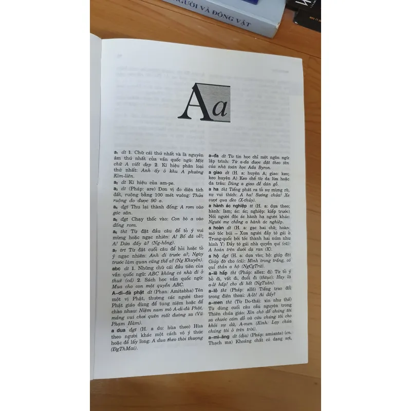 TỪ ĐIỂN TỪ VÀ NGU VIỆT NAM  739093