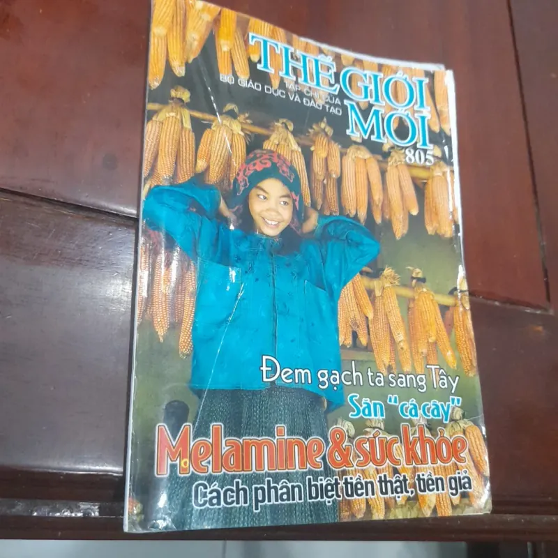 THẾ GIỚI MỚI số 805 ngày 13.10.2008 1030751