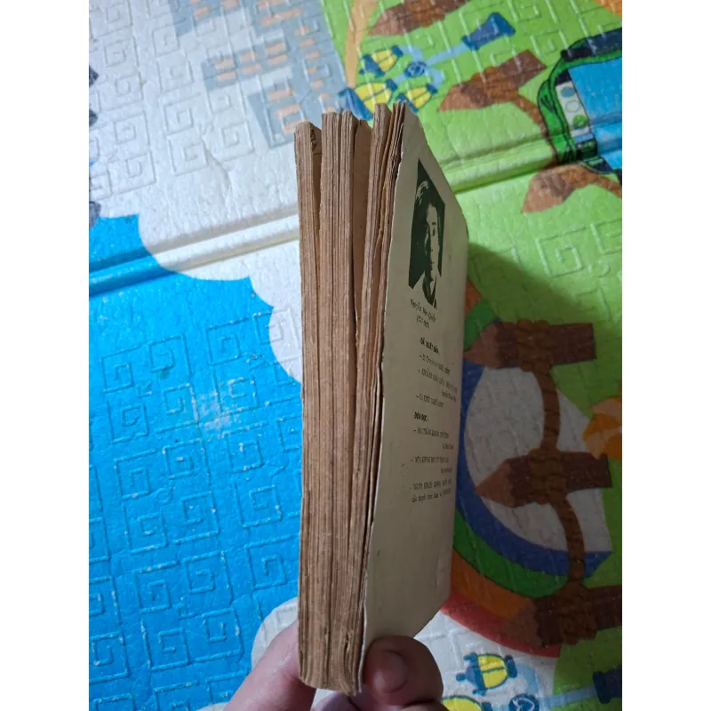 Những Vẻ Đẹp Thơ 995062