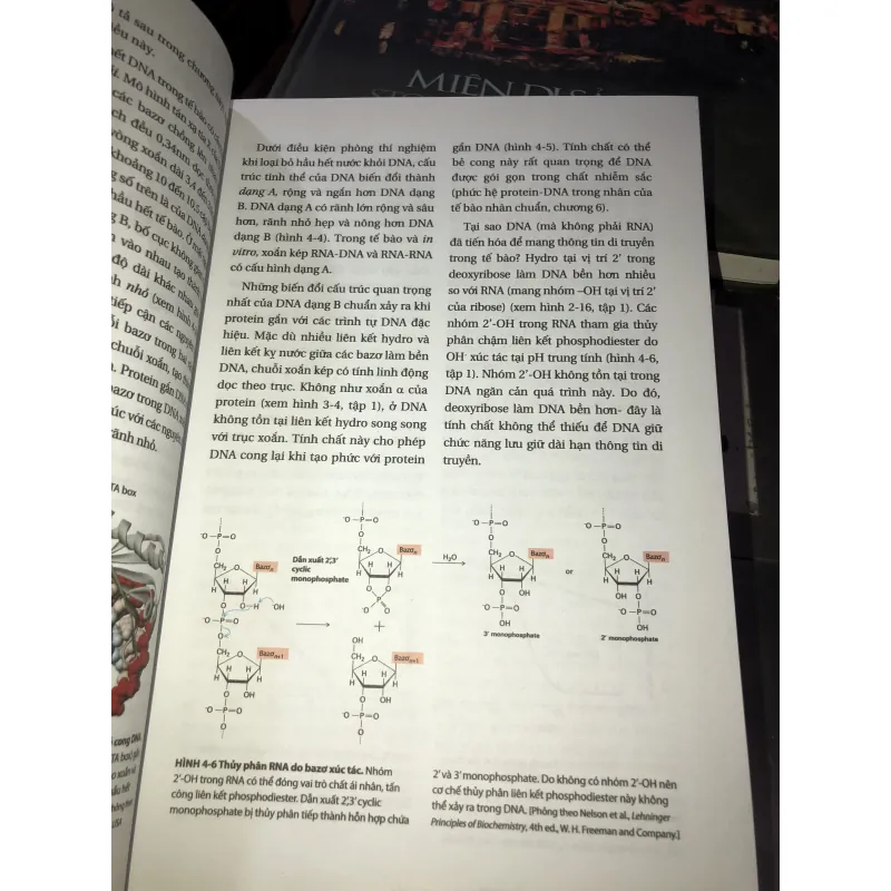 Sinh học phân tử của tế bào tập 2  1010154
