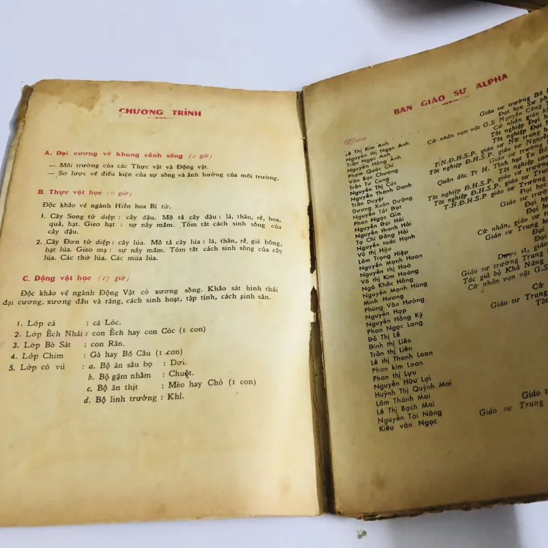 VẠN VẬT HỌC BAN GIÁO SƯ ALPHA - lớp 6 752713