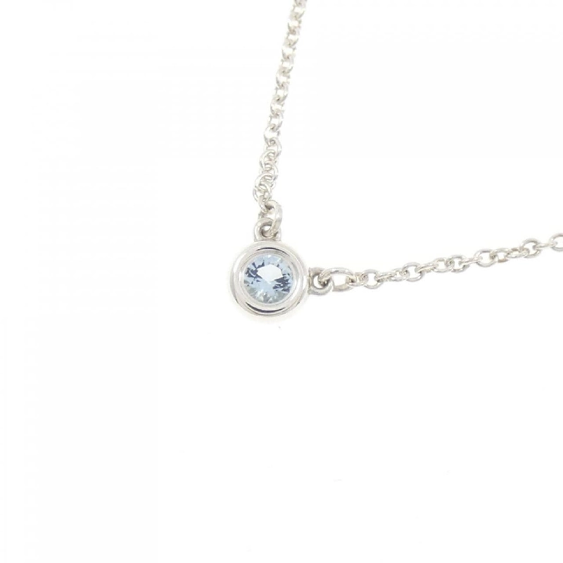 Dây chuyền Tiffany By The Yard - Hàng hiệu Authentic 842297