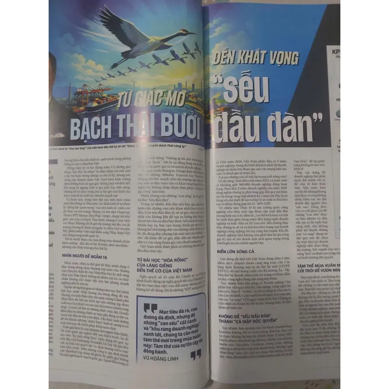 Báo Tuổi trẻ Xuân Bính Ngọ 2026 992241