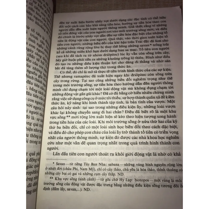 Nguồn góc loài người 996394