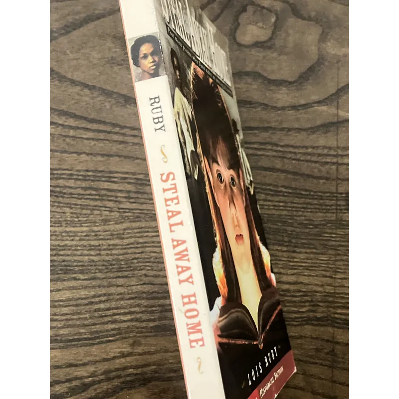 Steal Away Home 972836