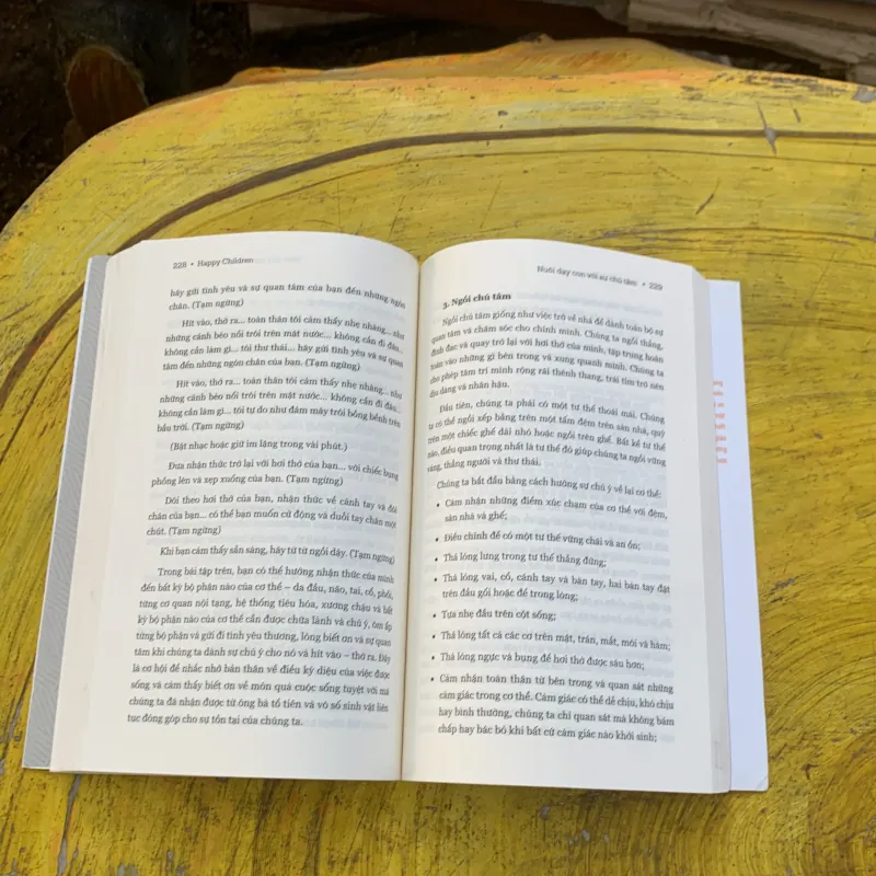 HAPPY CHILDREN HIEEUR về sự phát triền của trẻ để nuôi dạy con an lạc và hạnh phúc  787503