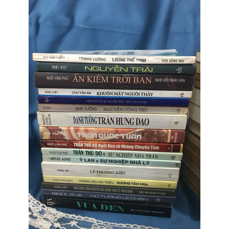 Bộ 31 cuốn tiểu thuyết lịch sử về danh nhân chí sĩ Việt Nam 995978