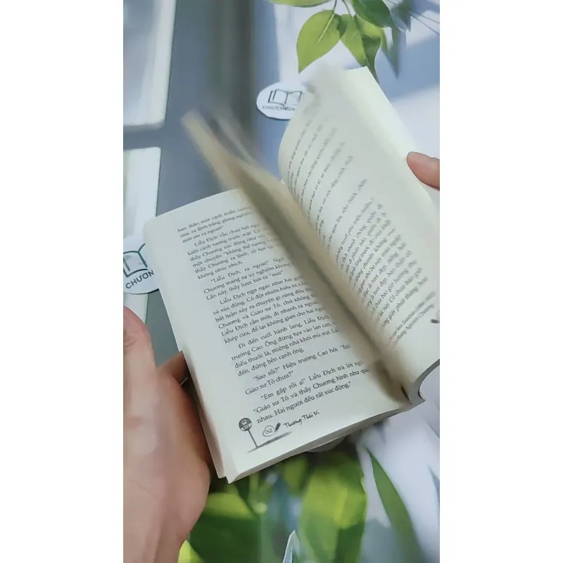 Bến Xe - Thương Thái Vi 744709