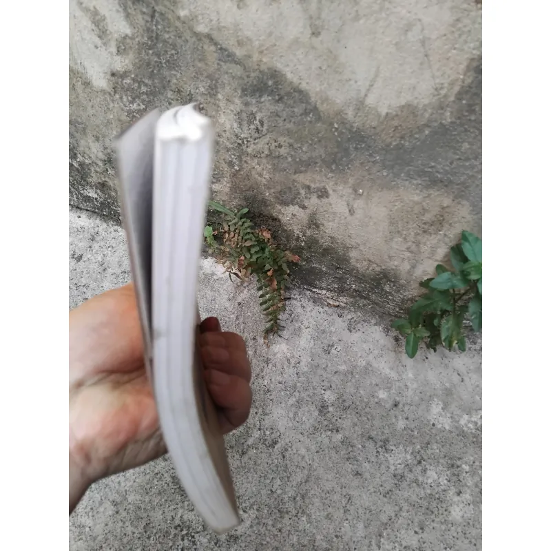 Nghệ thuật múa rối cổ truyền đất Thăng Long  1006701