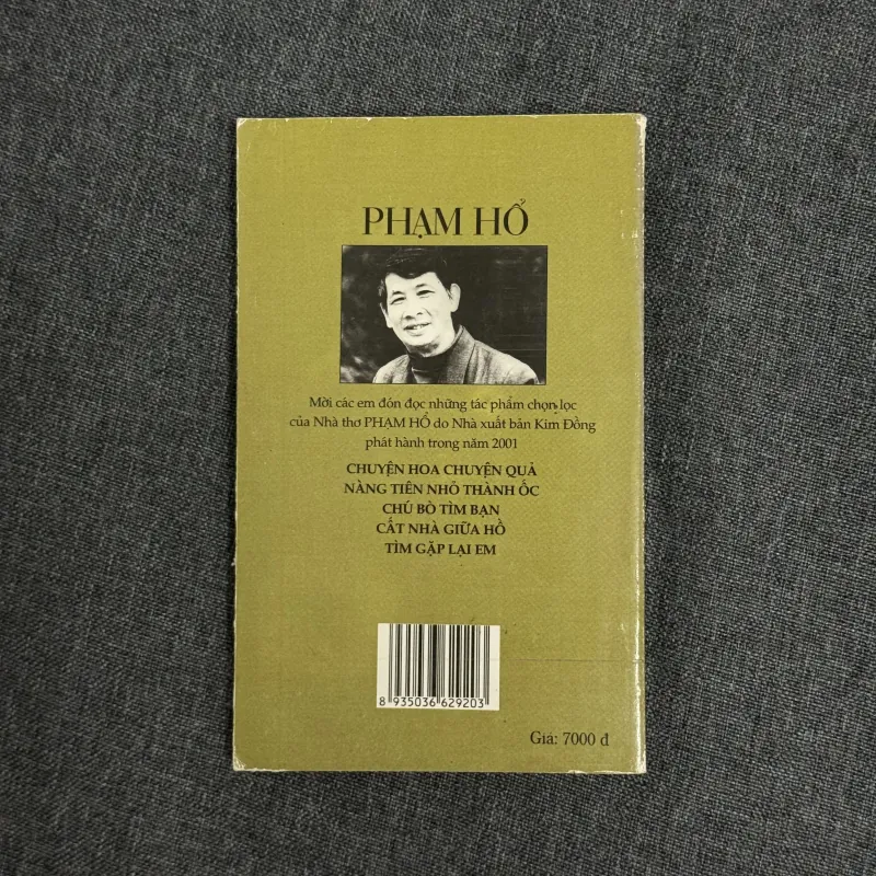 Tìm gặp lại em - Phạm Hổ 931355