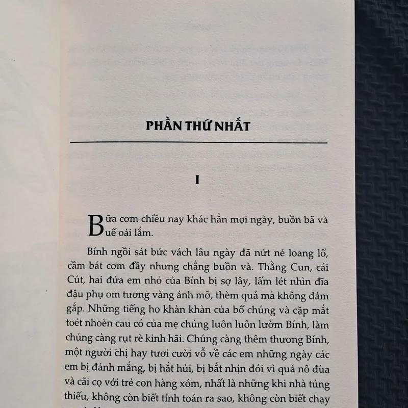 Bỉ Vỏ - Nguyên Hồng 316445