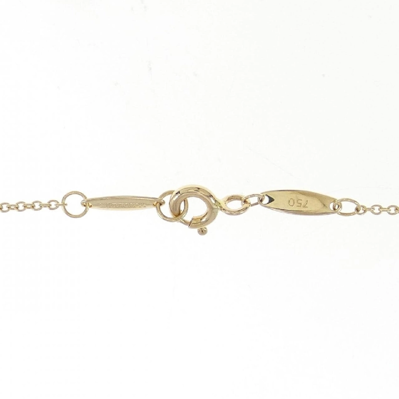 Dây chuyền Tiffany By The Yard - Hàng hiệu Chính hãng 845886