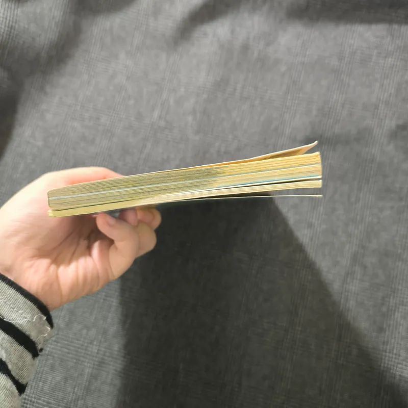 Combo Pokemon - Mewtwo Strikes Back + Celebi Rescue 712479