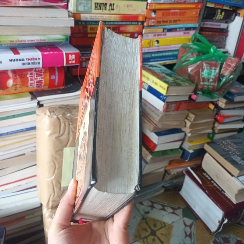 Trí Tuệ Ung Chính - Phùng Nhĩ Khang 1027867