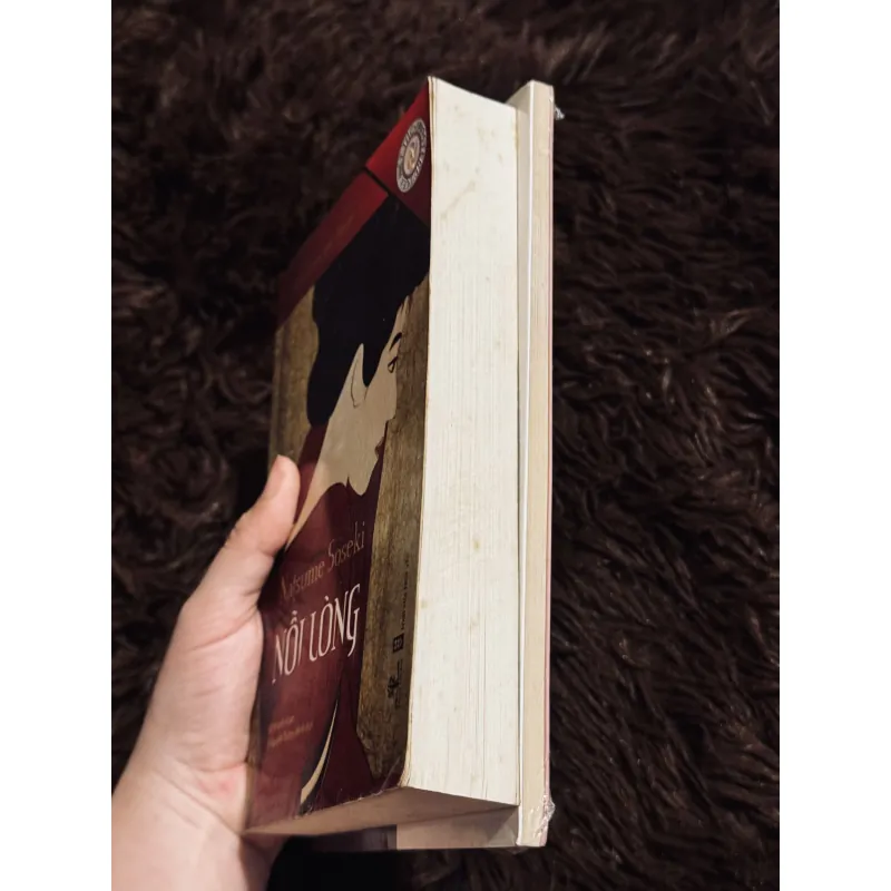 Combo 2c Natsume Soseki 992300