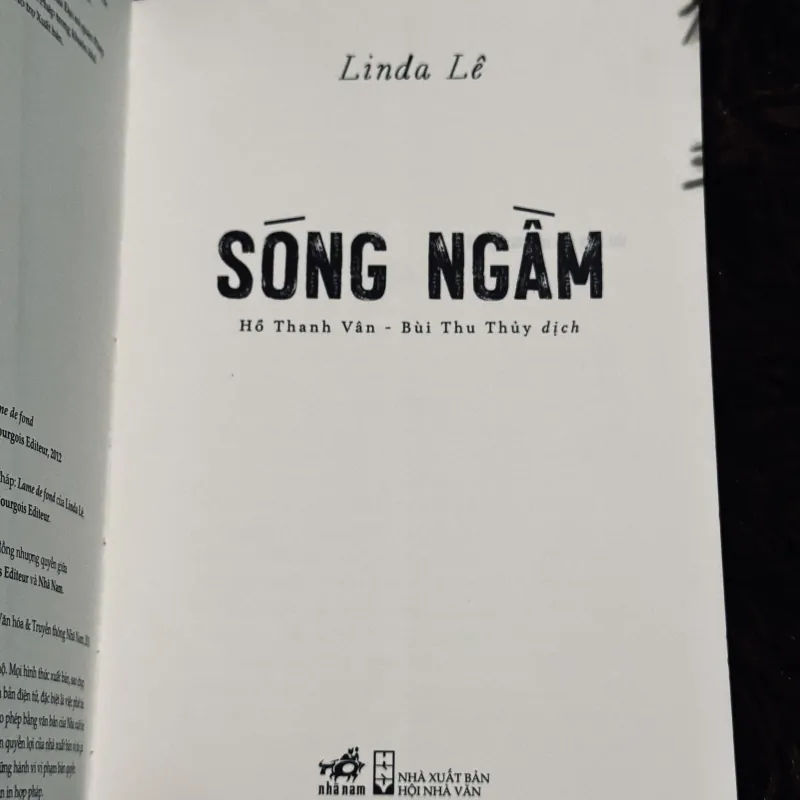 Sóng ngầm - Linda Lê 756775