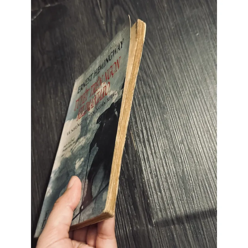 Tuyết trên ngọn kilimanjaro  602023