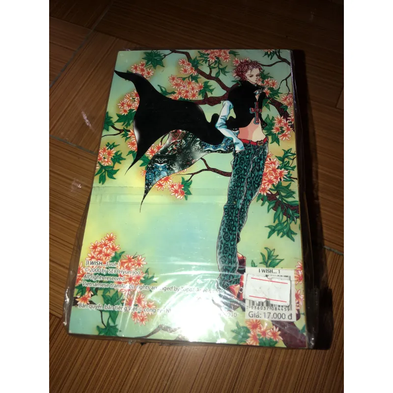 I wish… - Seo Hyun Joo 935291