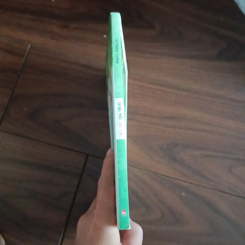 Trong mắt trái tim 761831